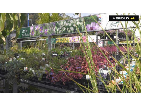 Bild 7 von Sulzenbacher GmbH - Der Gartengestalter
