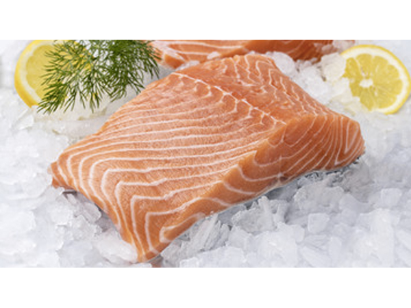Bild 4 von Royal Fish GmbH