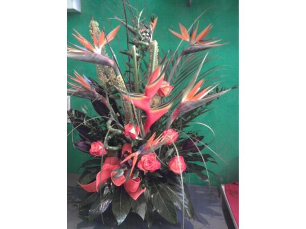 Bild 1 von Blumen-Anna Anna Nowak