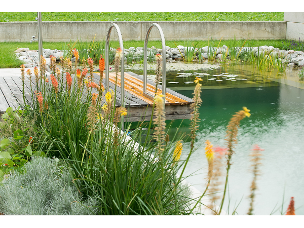 Bild 26 von Eder Gartenarchitektur GmbH