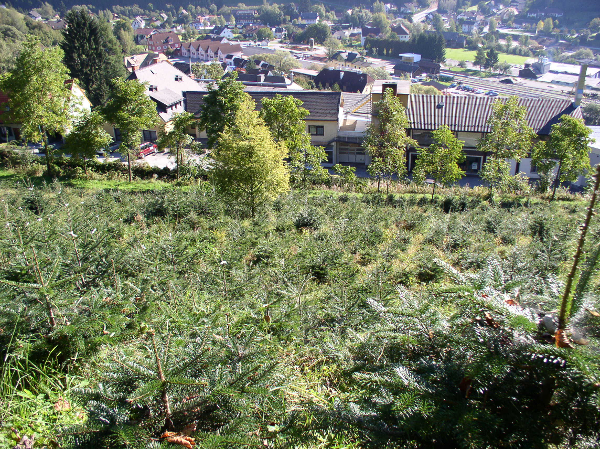 Bild 11 von Gutsverwaltung Fridau - Alexander Tacoli