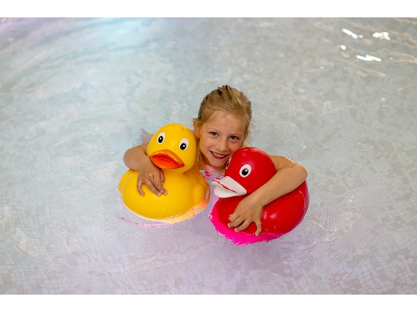 Bild 2 von Schwimmverein Clownfische