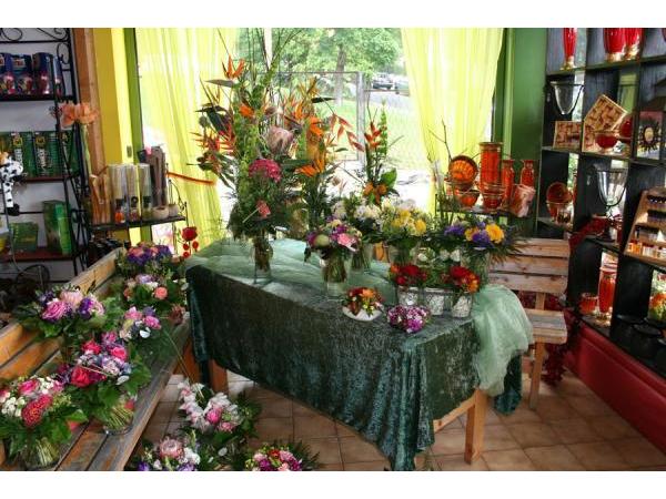 Bild 7 von Blumen Radl