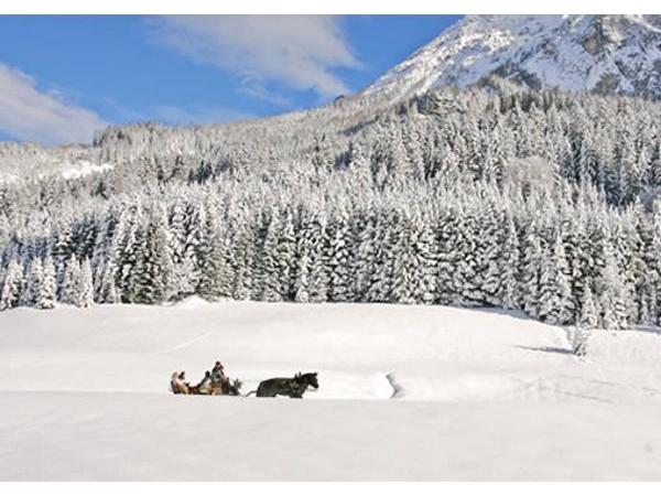 Bild 3 von Griesbauer Familie Gehwolf