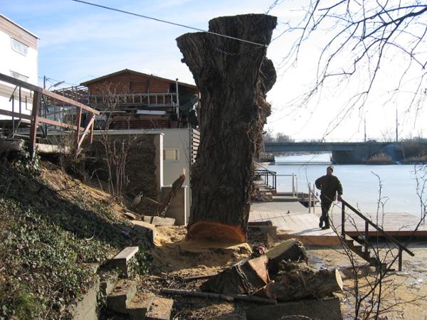Bild 2 von Thomas Bauer