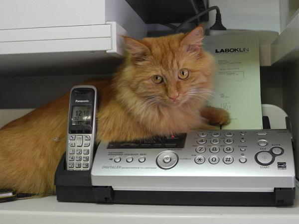 Bild 3 von Dipl-TA Lukas Sabine