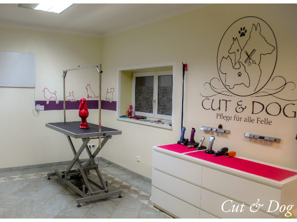 Bild 4 von Hundesalon Cut & Dog