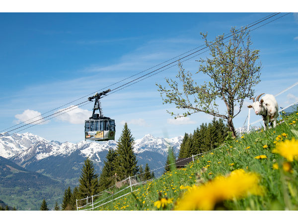 Bild 34 von Montafoner Kristbergbahn Silbertal GmbH