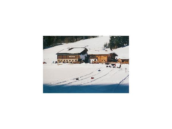 Bild 5 von Stoanerhof - Heidi u Engelbert Walcher