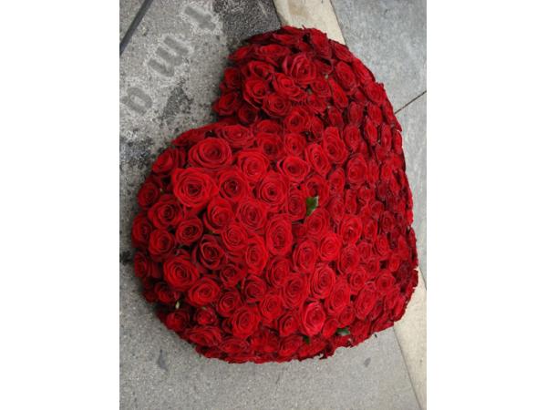 Bild 6 von Blumen Schürer