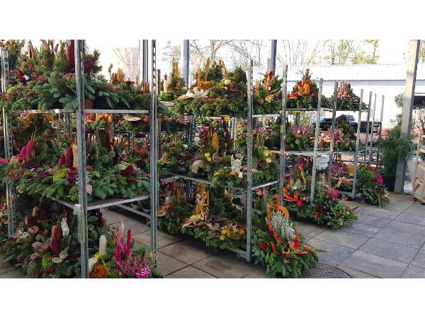 Bild 84 von Gartenbau-Blumen Helmut Friedl