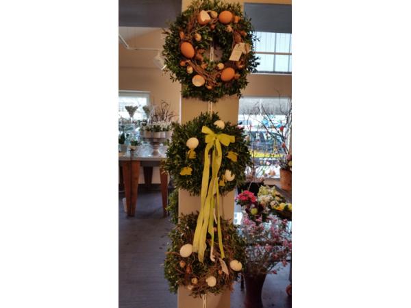 Bild 16 von Blumen Schonsky