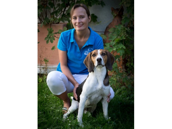 Bild 8 von TIERARZTPRAXIS Dr. Christina STROBL-BUBLA, FTA f. Chiropraktik