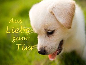 Logo von Tierambulanz Deutsch Wagram - Josef Zoher