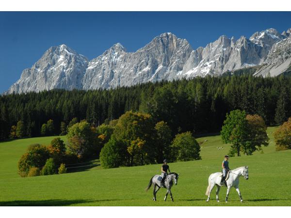 Bild 13 von Aktivhotel "Zum Jungen Römer"