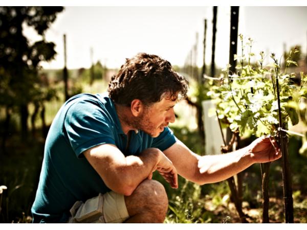 Bild 1 von Weingut Loimer GmbH