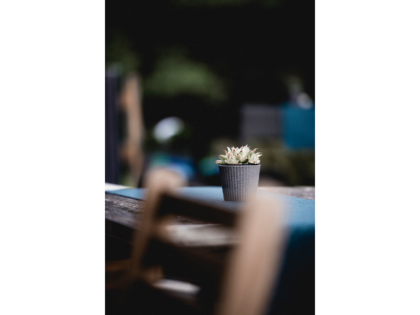 Bild 2 von Cafe-Bistro Waggon