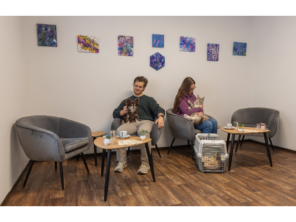 Bild 3 von Sandras Pfotenstube