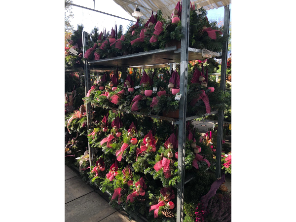 Bild 130 von Gartenbau-Blumen Helmut Friedl
