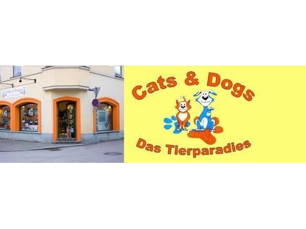 Bild 1 von Cats & Dogs Das Tierparadies Anita Stiegler