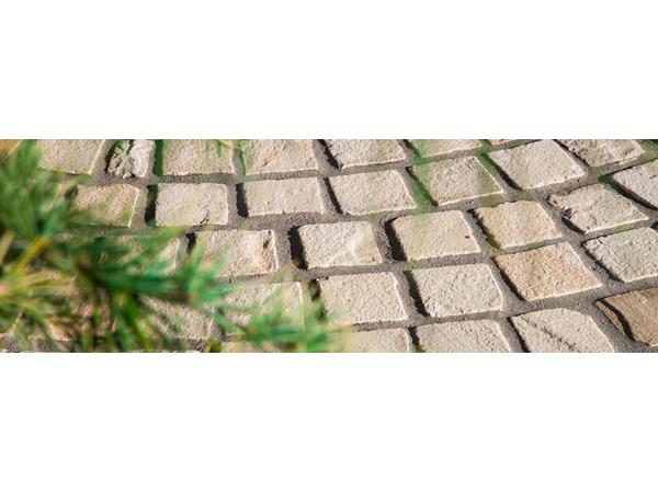 Bild 4 von RP-Pflasterprofi GmbH