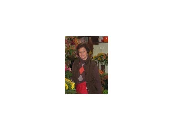 Bild 2 von Blumen Pogatschnig