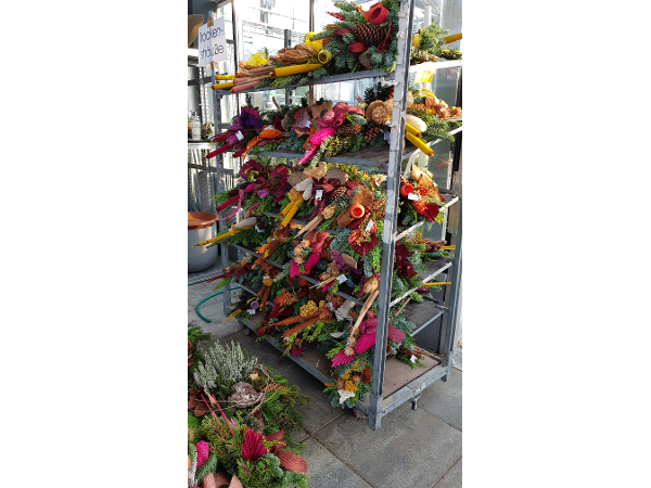 Bild 86 von Gartenbau-Blumen Helmut Friedl
