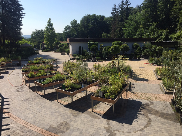 Bild 1 von Maly Gartengestaltung GmbH & Co KG