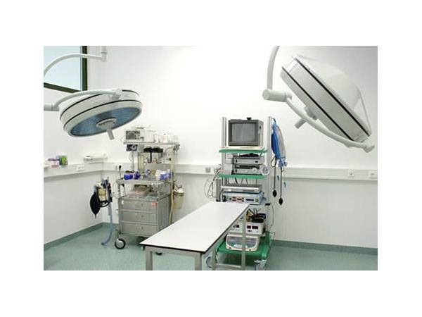 Bild 3 von AniCura Tierklinik Hollabrunn