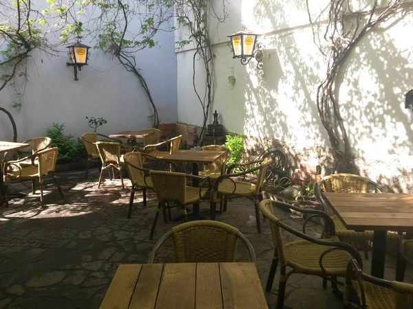 Bild 3 von Old Lemon Tree