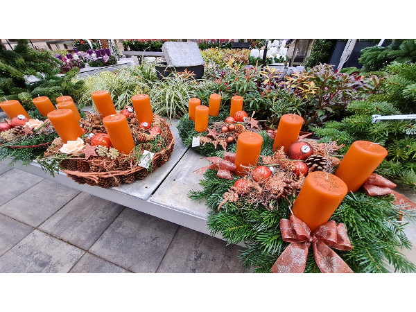 Bild 198 von Gartenbau-Blumen Helmut Friedl