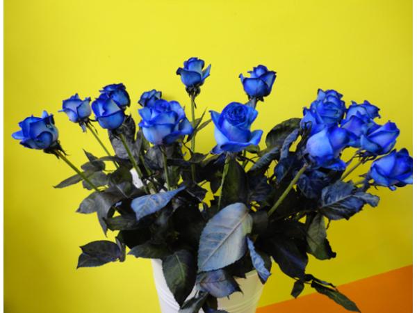 Bild 3 von MAXI Blumen