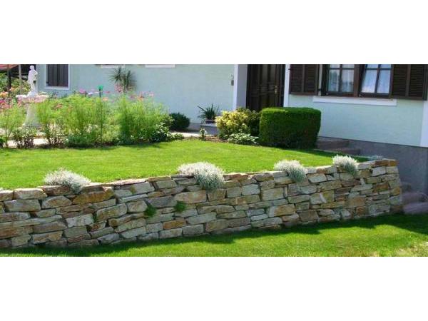 Bild 12 von Schwimmteich & Gartengestaltung Matheis KG