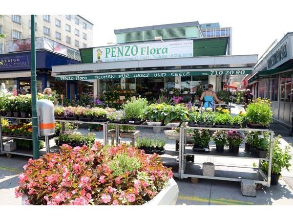 Bild 1 von PENZO Flora Flötzersteig GmbH
