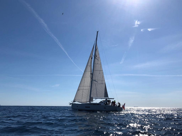 Bild 5 von SUNBEAM Yachts
