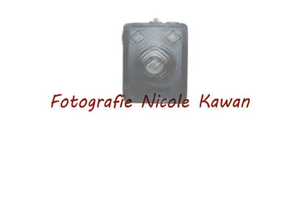 Bild 1 von Fotografie Nicole Kawan