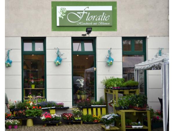 Bild 1 von FLORALIE KG