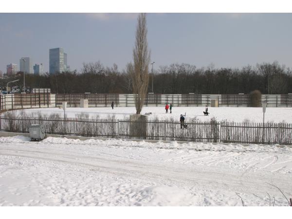 Bild 7 von Wiener Hundeschule