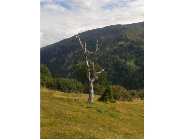 Bild 5 von Gemeinde Obernberg am Brenner
