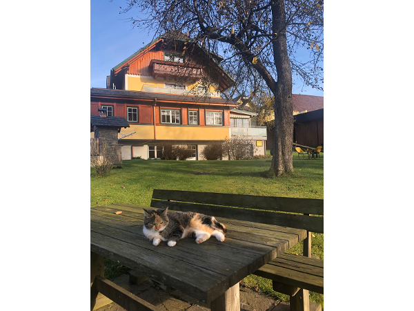 Bild 12 von Pension Glitschnerhof