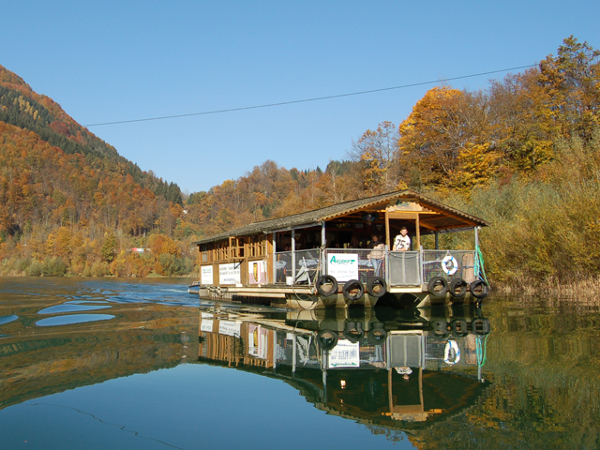 Bild 3 von Schifffahrt u Floßfahrt Aigner