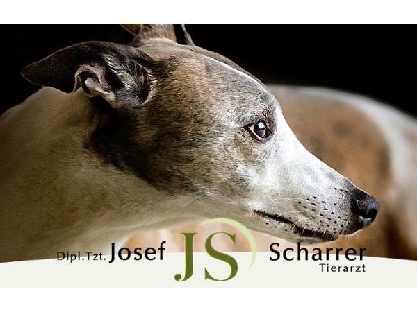 Bild 4 von Dipl-TA Josef Scharrer