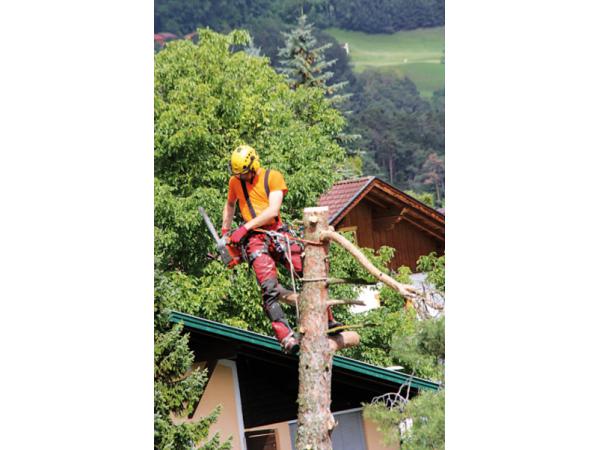 Bild 3 von Gartenmeister24 - Wolfgang Khanna