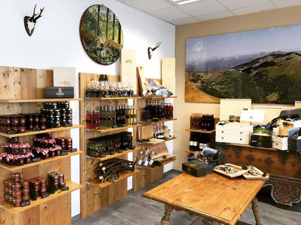 Bild 5 von MT Bergwild GmbH