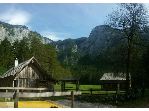 Bild 10 von Gasthof Höllwirt