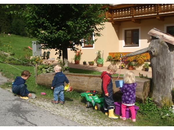 Bild 4 von Öbristhof - Bio Bauernhof