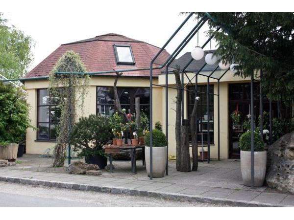 Bild 1 von Floralstudio Haas