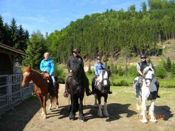 Bild 2 von Reiterhof Scherhäufl Ranch