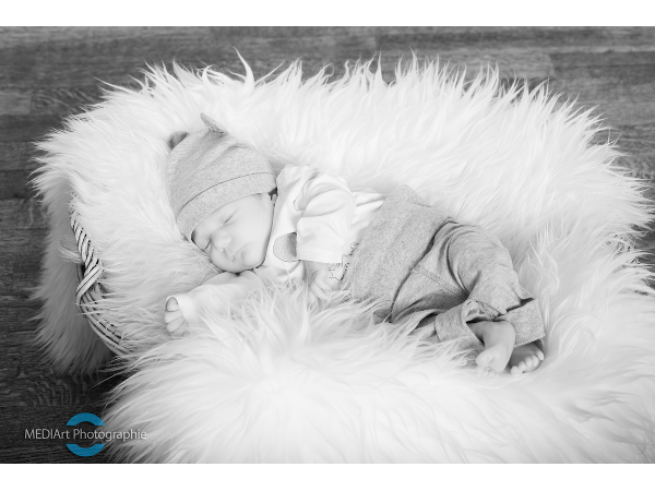 Bild 119 von MEDIArt Photographie