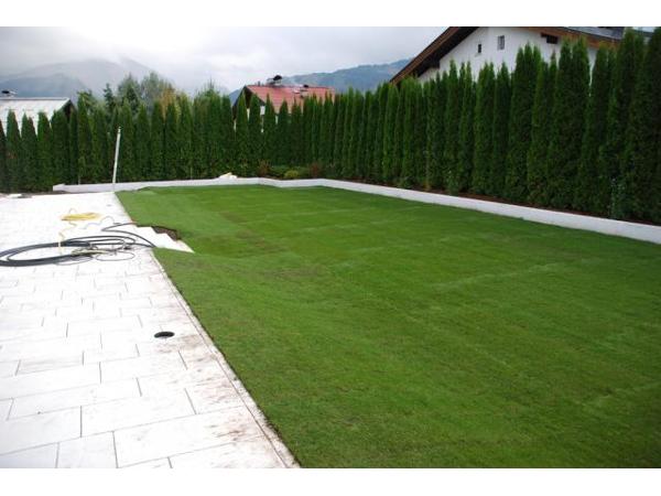 Bild 12 von Blumen und Gärtnerei Riegler GmbH